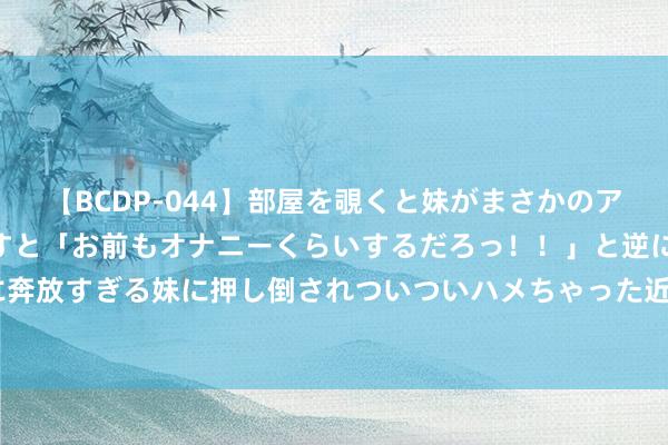   【BCDP-044】部屋を覗くと妹がまさかのアナルオナニー。問いただすと「お前もオナニーくらいするだろっ！！」と逆に襲われたボク…。性に奔放すぎる妹に押し倒されついついハメちゃった近親性交12編 宜章：高温热浪来袭 工会驿站成歇凉宝地