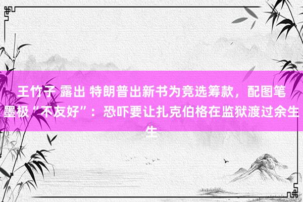   王竹子 露出 特朗普出新书为竞选筹款，配图笔墨极“不友好”：恐吓要让扎克伯格在监狱渡过余生