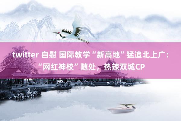   twitter 自慰 国际教学“新高地”猛追北上广：“网红神校”随处，热辣双城CP