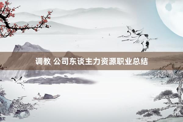 调教 公司东谈主力资源职业总结