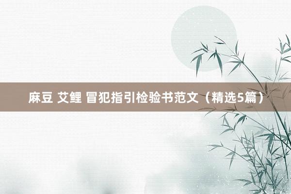   麻豆 艾鲤 冒犯指引检验书范文（精选5篇）