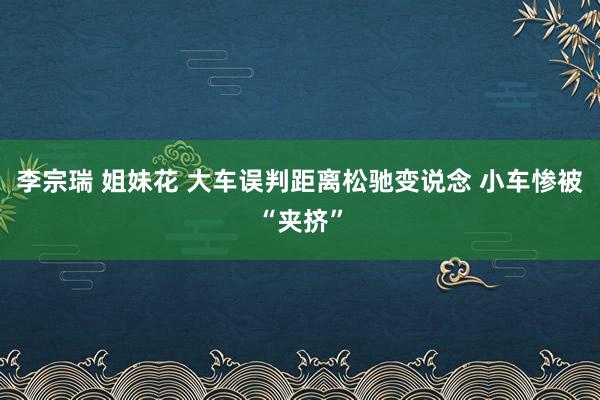 李宗瑞 姐妹花 大车误判距离松驰变说念 小车惨被“夹挤”