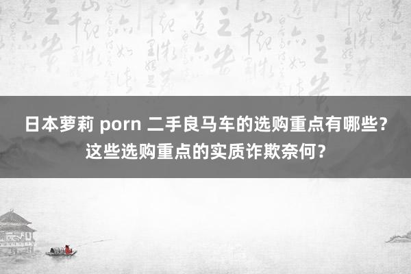 日本萝莉 porn 二手良马车的选购重点有哪些？这些选购重点