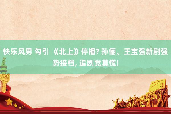 快乐风男 勾引 《北上》停播? 孙俪、王宝强新剧强势接档, 